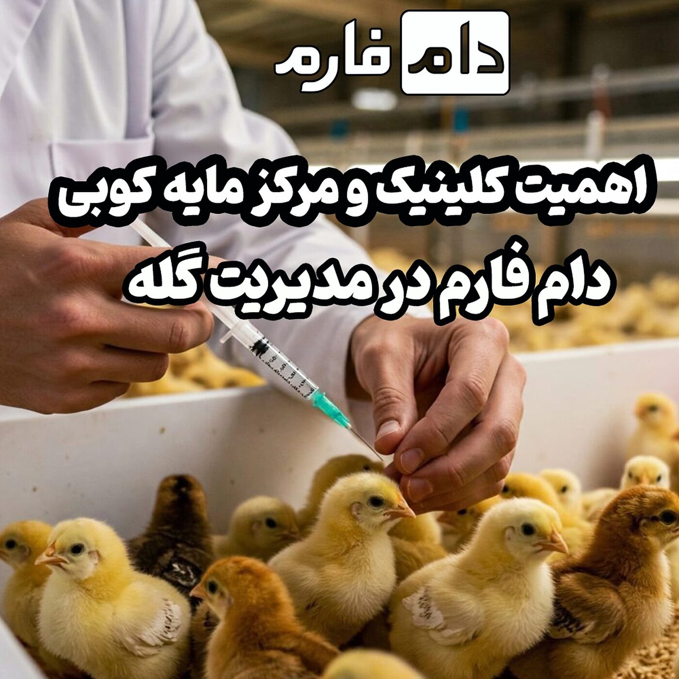 کلینیک و مرکز مایه کوبی دام فارم ، مدیریت تلفات و افزایش راندمان گله
