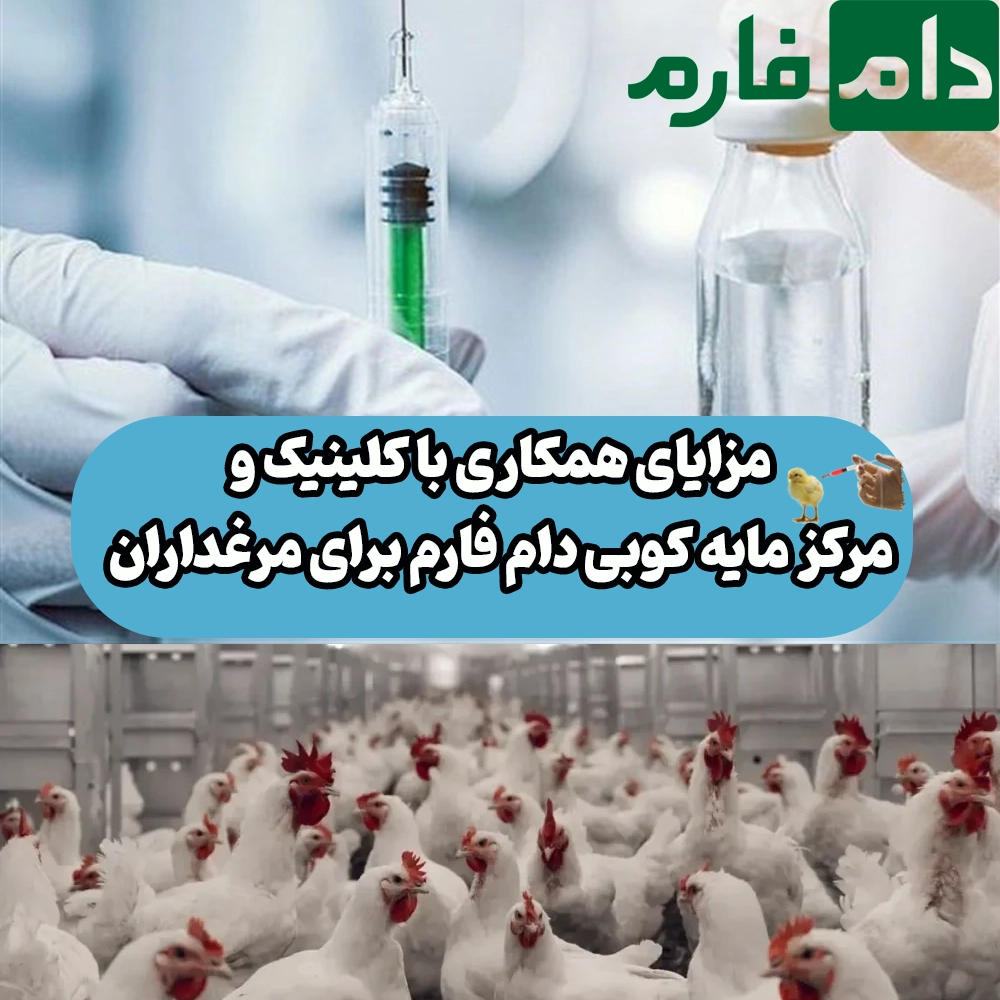 Clinic-and-Livestock-Farm-Vaccination-Center-Herd-Loss-Management-and-Productivity-Improvement