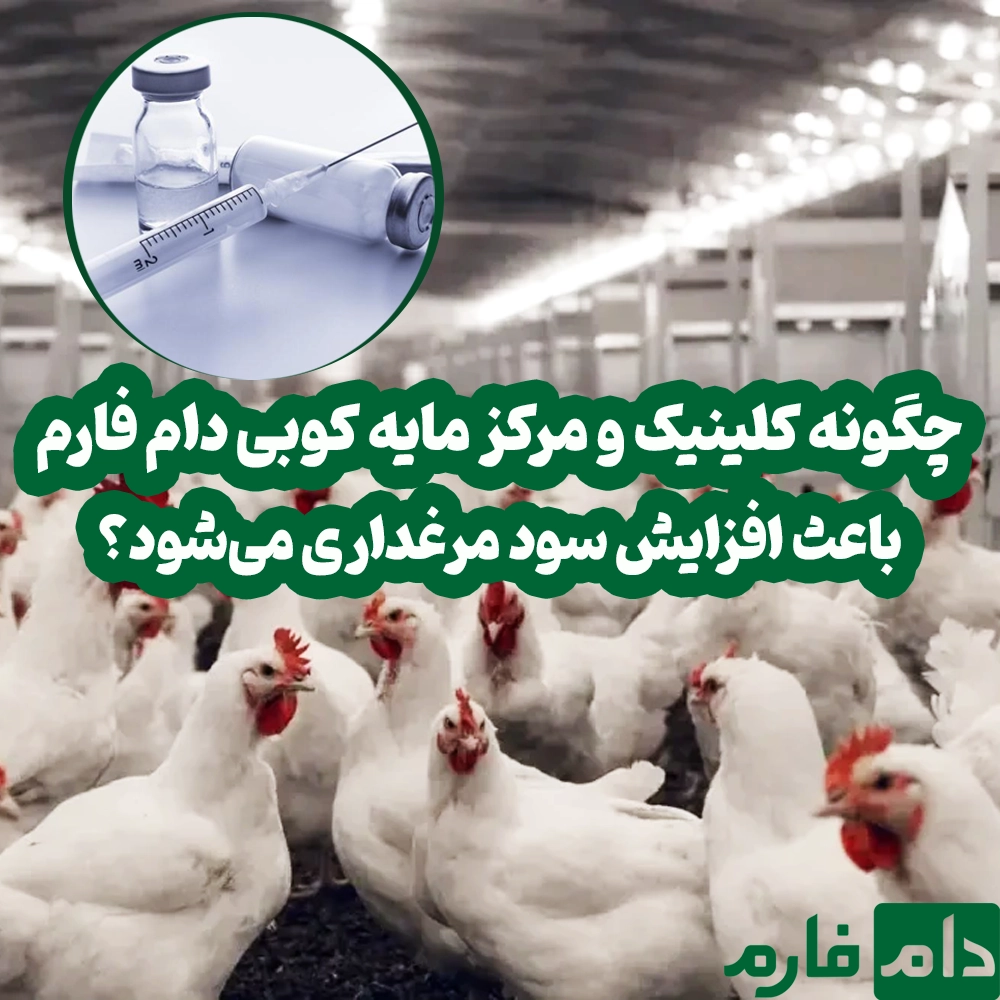 Clinic-and-Livestock-Farm-Vaccination-Center-Herd-Loss-Management-and-Productivity-Improvement