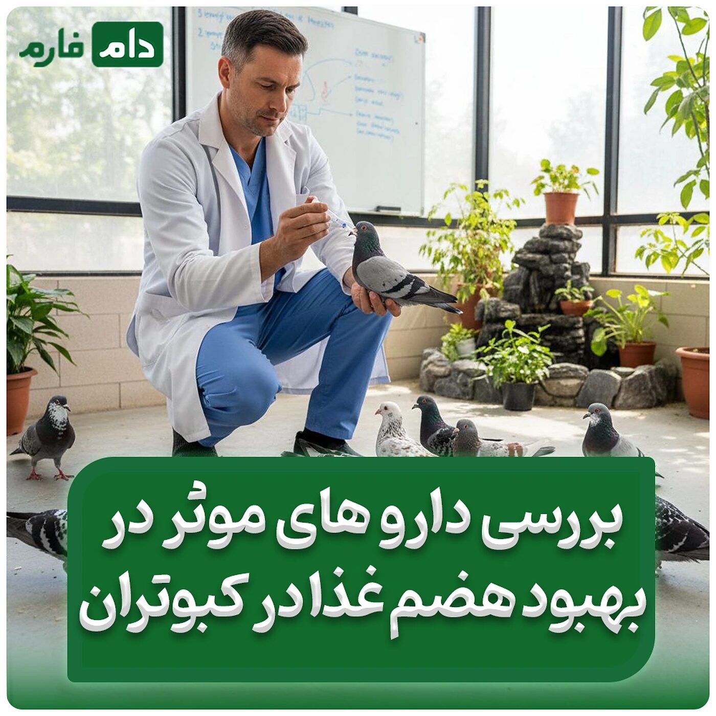 بررسی_داروهای_مؤثر_در_بهبود_هضم_غذا_در_کبوتران_:_راهکارهای_دارویی_و_تغذیه‌ای