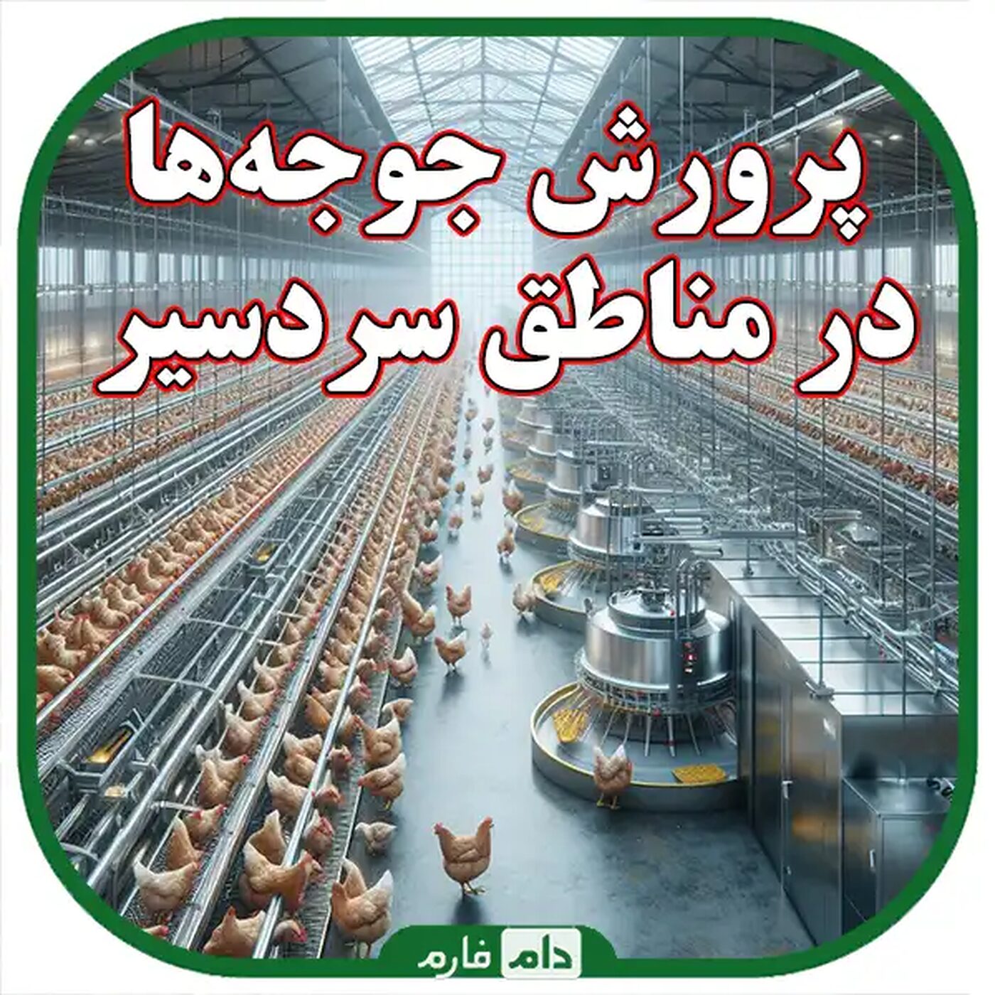 راهنمای_جامع_مدیریت_پرورش_جوجه_یک_روزه_در_مناطق_سردسیر:_از_انتخاب_نژاد_تا_نکات_کلیدی_نگهداری