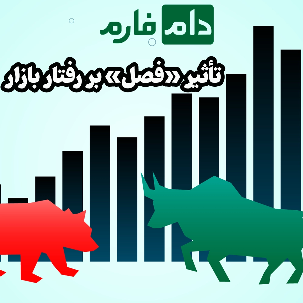On-what-basis-is-the-price-of-cattle-determined