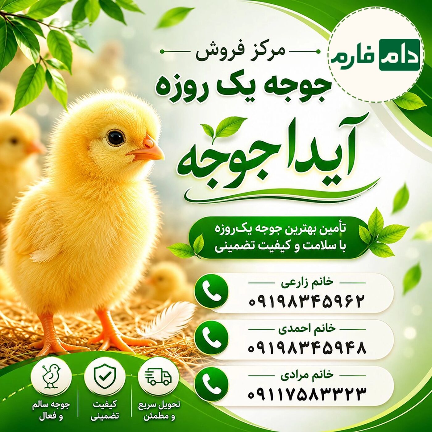 مرکز_فروش_جوجه_یک_روزه_آیدا_جوجه_09117583323