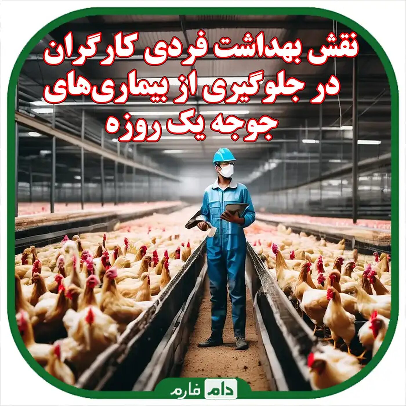 نقش_بهداشت_فردی_در_جلوگیری_از_بیماری‌های_جوجه_یک_روزه