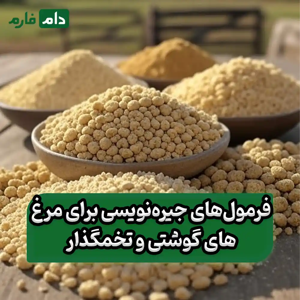 Principles-of-Broiler-Diet-Writing