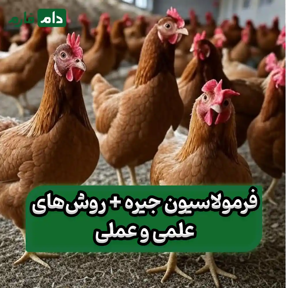 Principles-of-Broiler-Diet-Writing