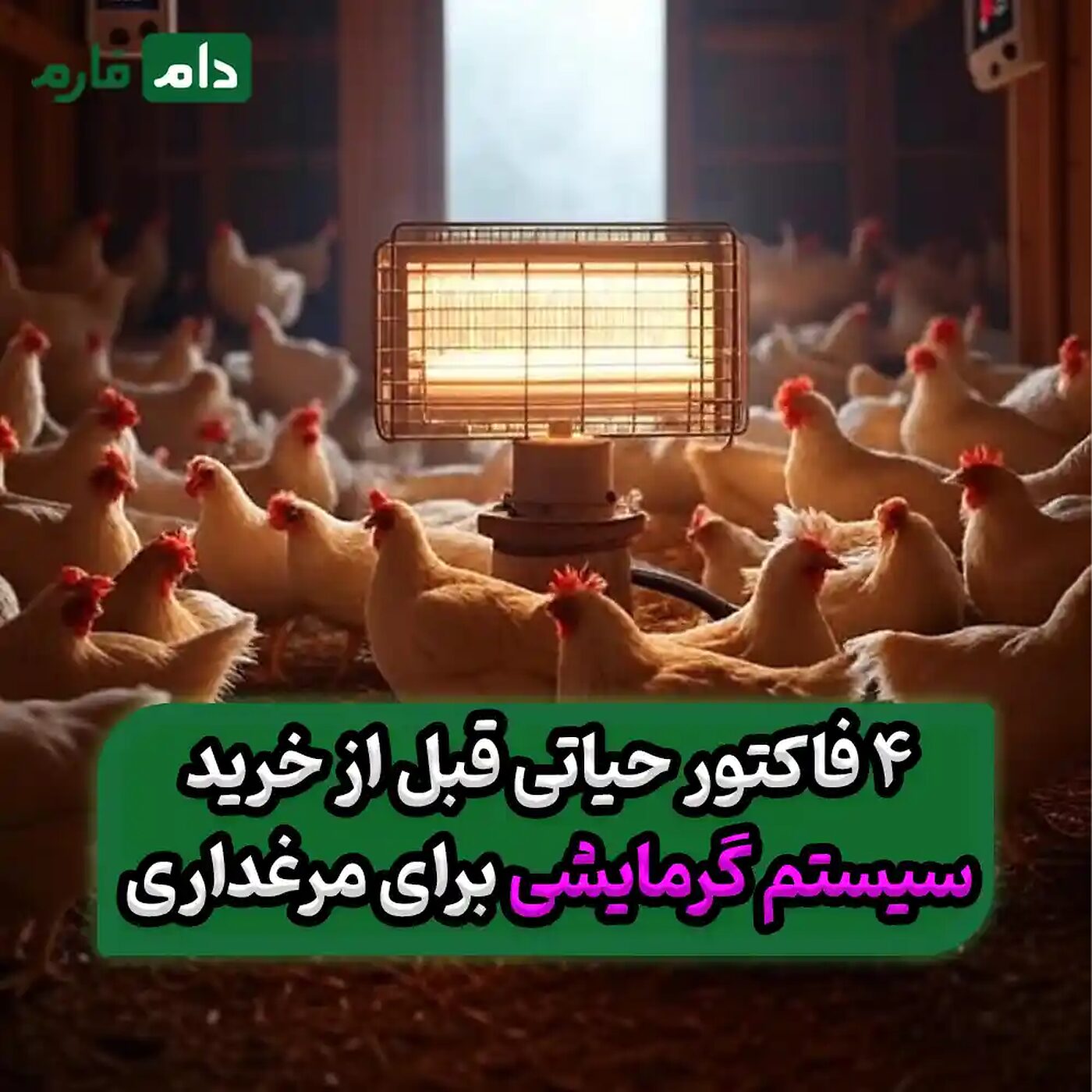 ۱۰_سیستم_گرمایشی_برتر_برای_مرغداری‌های_مرغ_گوشتی
