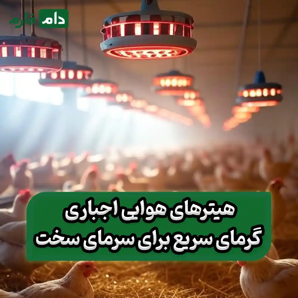 Top-10-Heating-Systems-for-Broiler-Farms