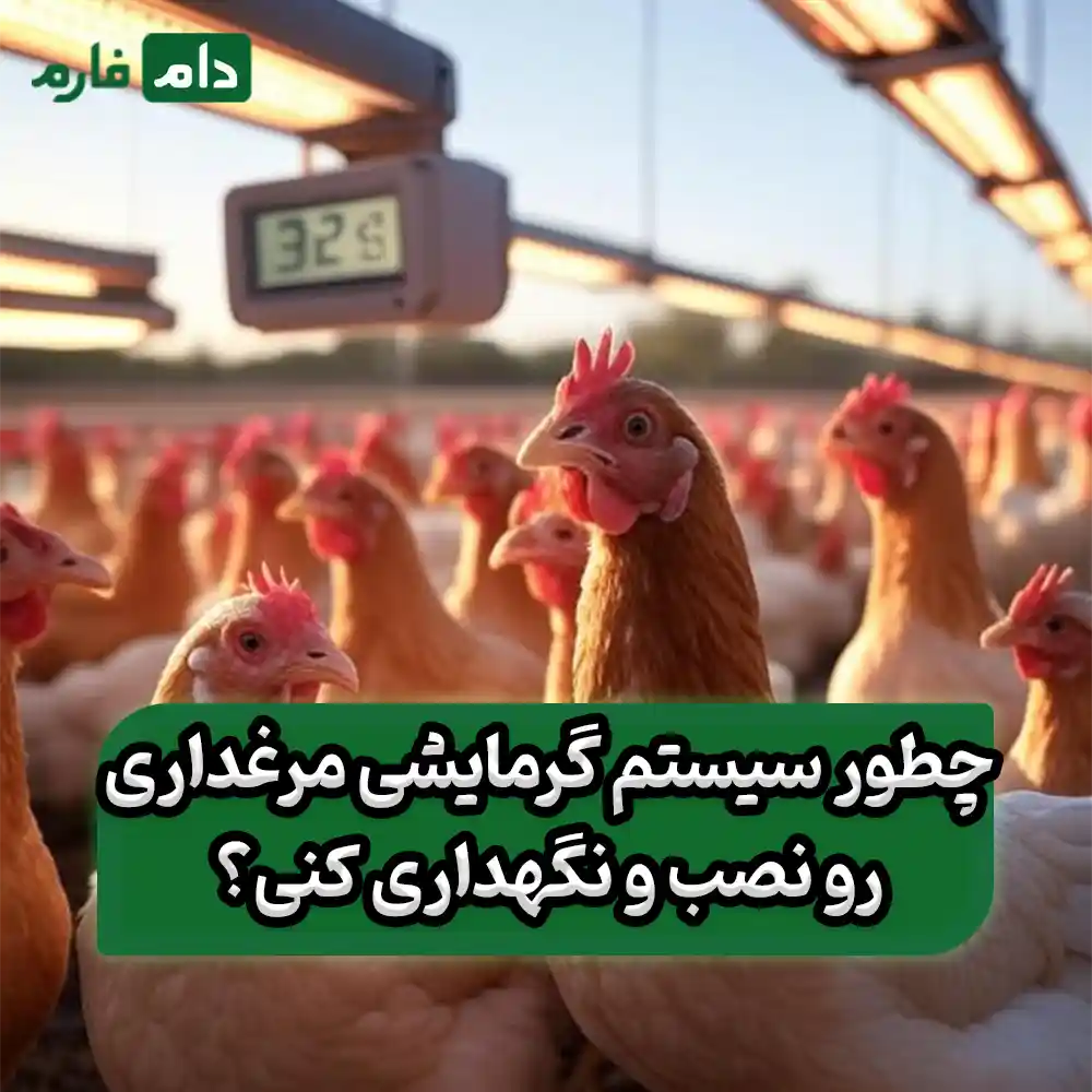 Top-10-Heating-Systems-for-Broiler-Farms