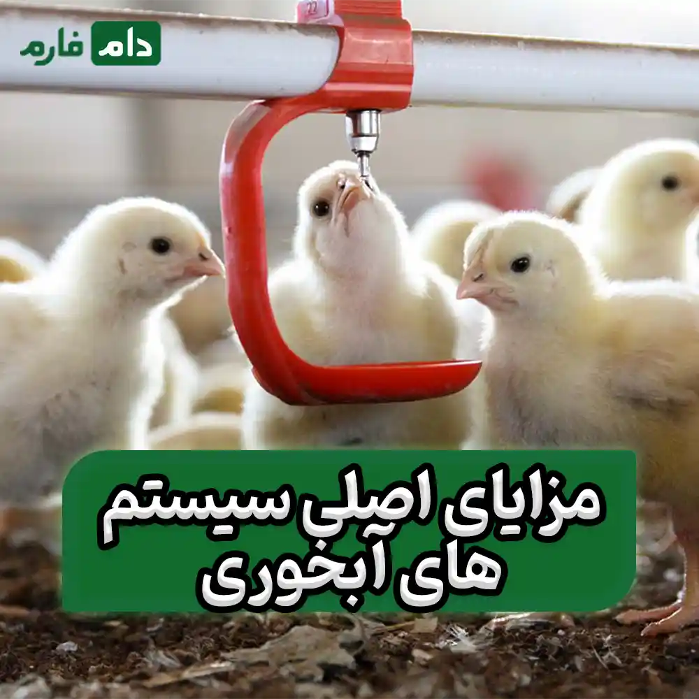 مزایای_و_معایب_سیستم‌های_آبخوری_خودکار_برای_مرغداری‌ها