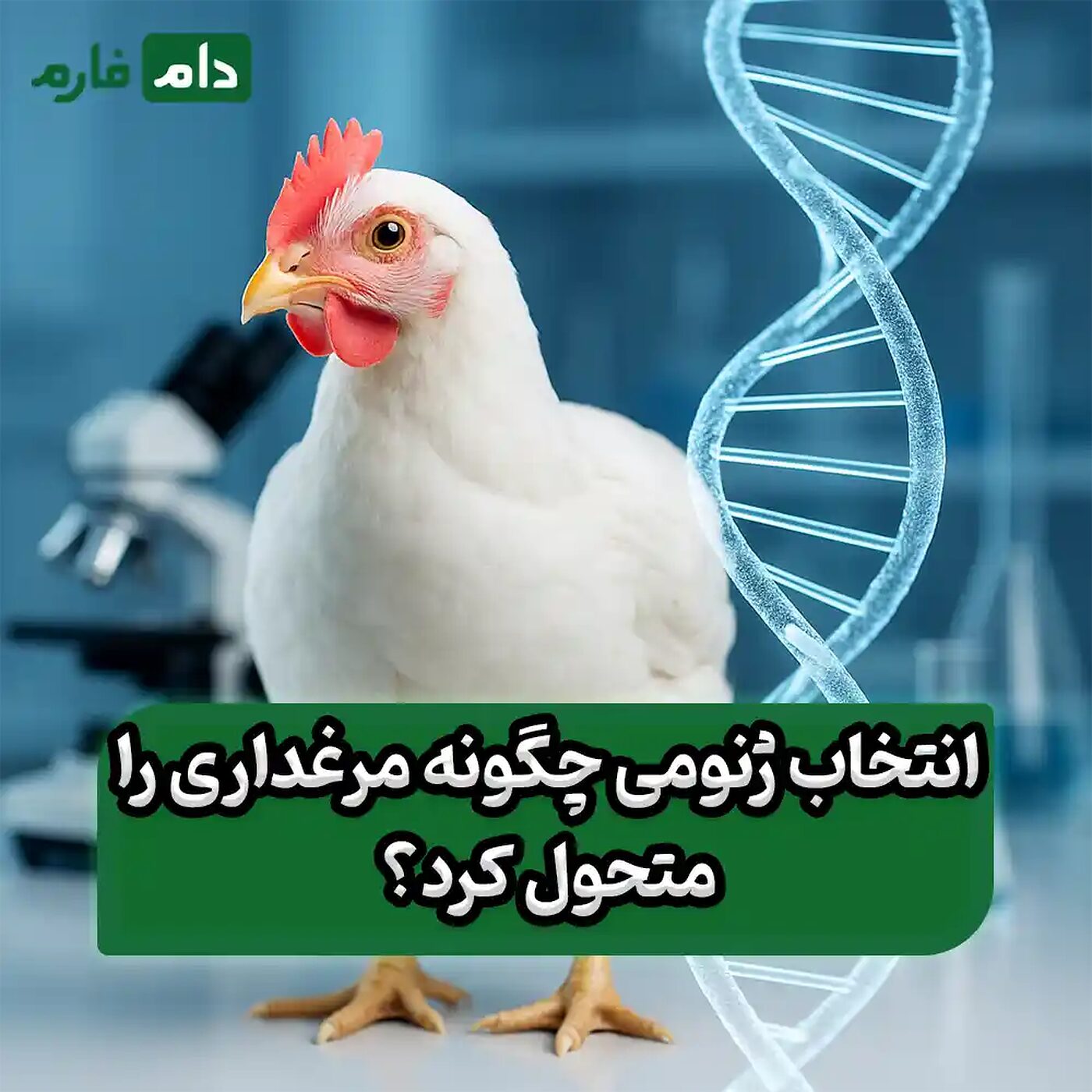 انتخاب_ژنومی_در_پرورش_مرغ_گوشتی:_آینده‌ای_که_همین_امروز_آغاز_می‌شود