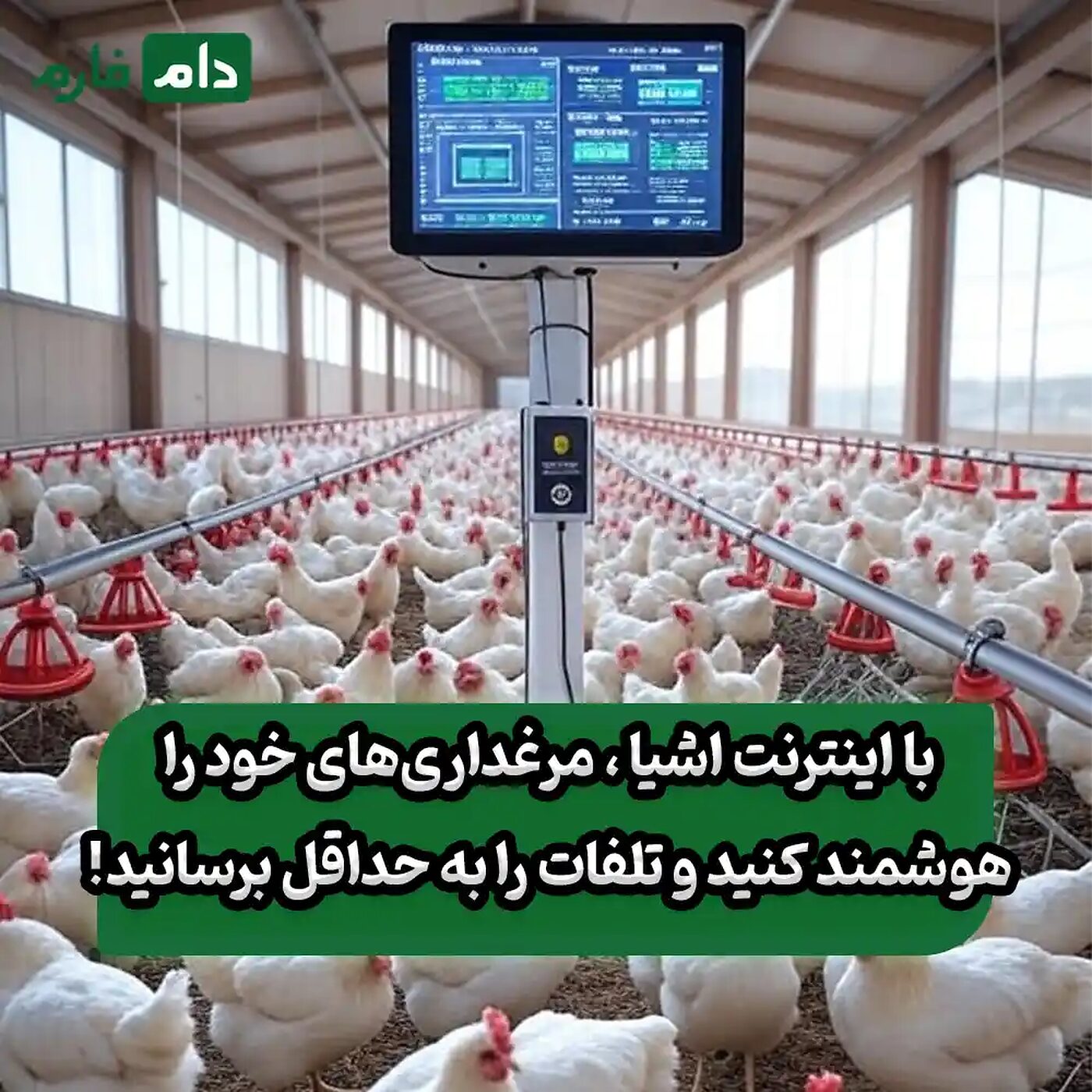 نقش_اینترنت_اشیا_در_کاهش_تلفات_مرغداری_