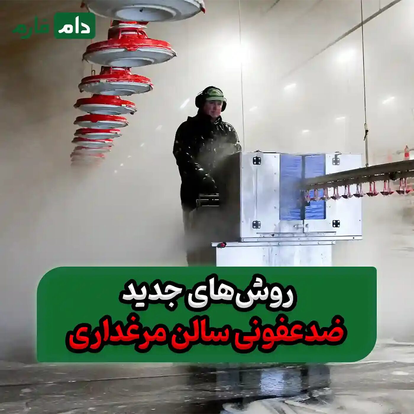 ۱۰_مرحله_ضروری_برای_ضدعفونی_کامل_سالن_مرغداری_