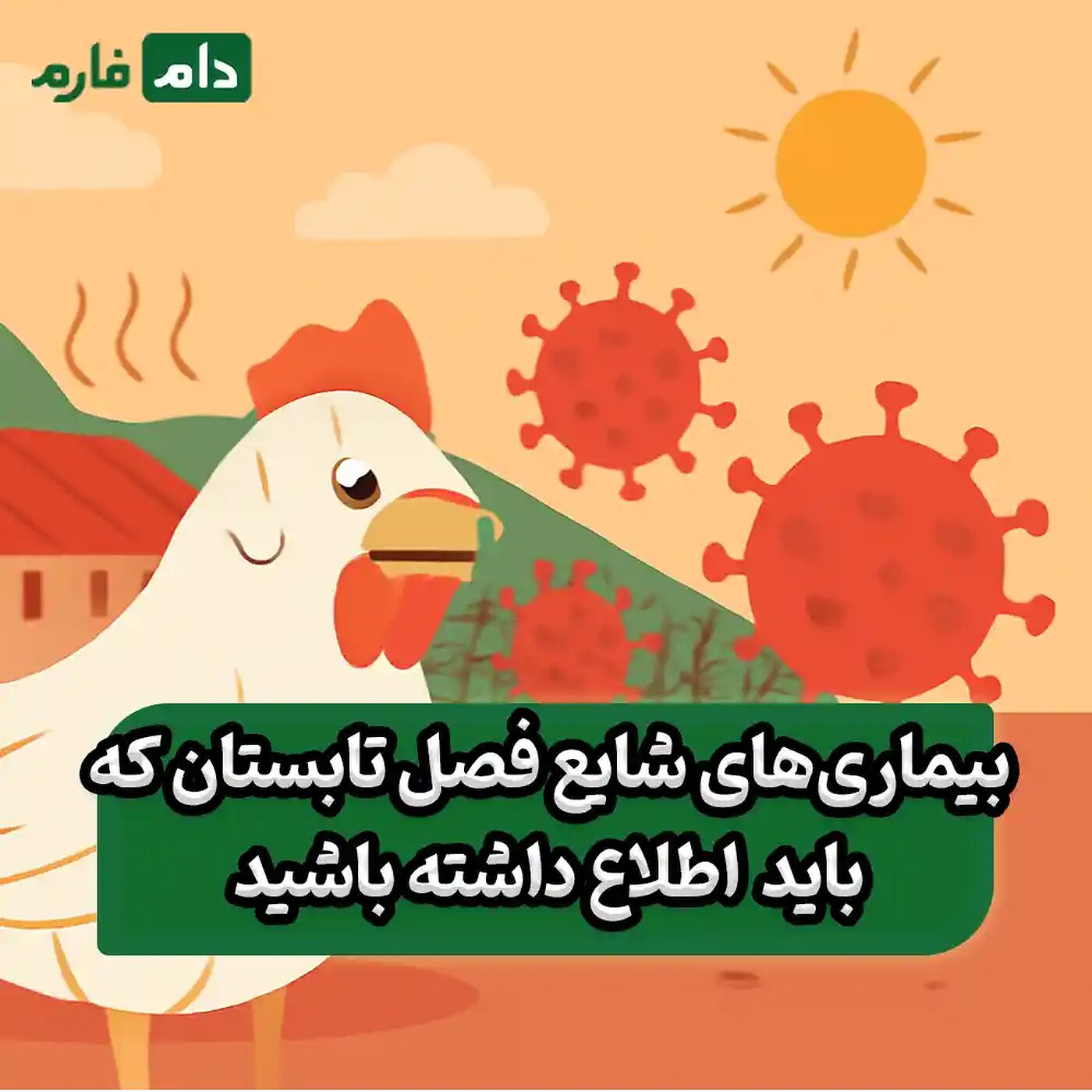 چگونه_از_بروز_بیماری‌های_تابستانی_در_مرغداری‌ها_جلوگیری_کنیم؟