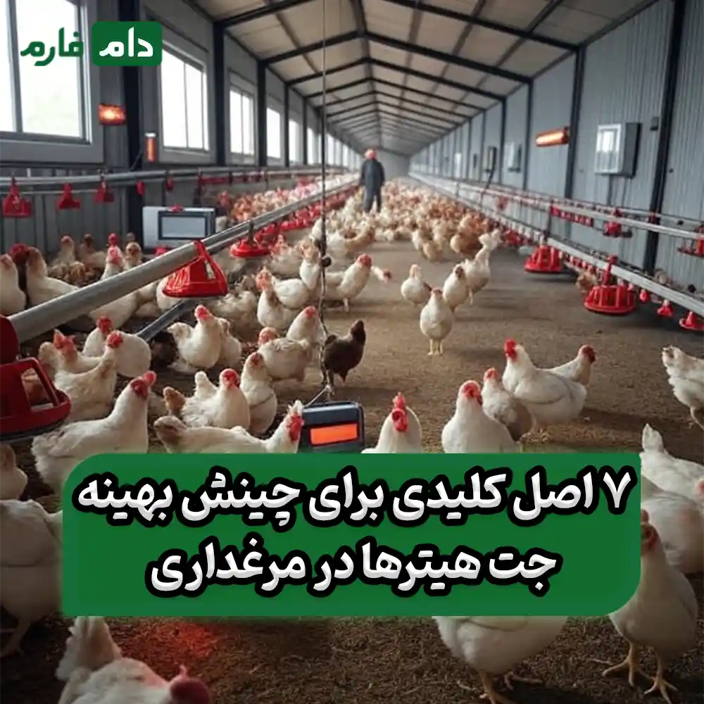Proper-arrangement-of-jet-heaters-in-poultry-farms-a-comprehensive-guide-to-optimal-heating