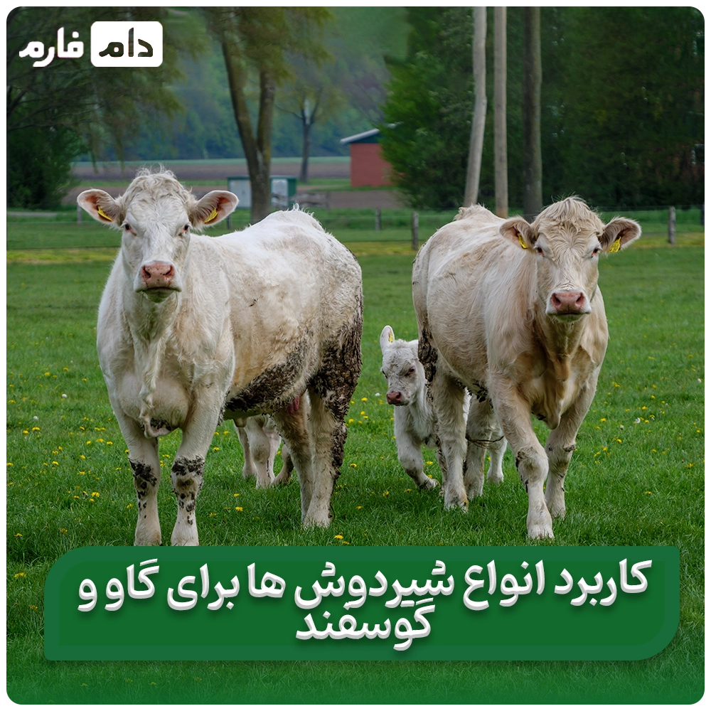 کاربرد_انواع_مختلف_دستگاه_شیردوش_ها_برای_گاو_و_گوسفند