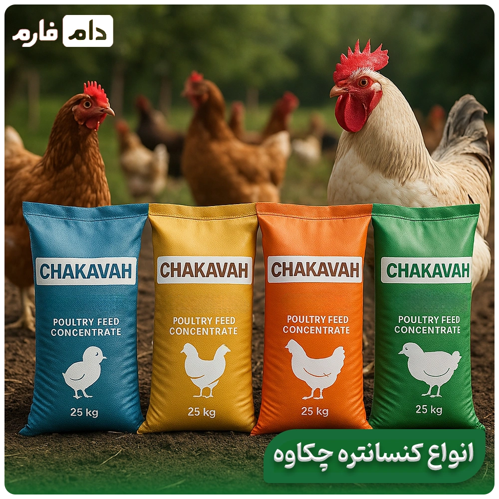 2-5-Chakaveh-concentrate-for-broiler-chickens