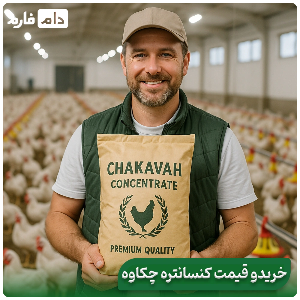 2-5-Chakaveh-concentrate-for-broiler-chickens