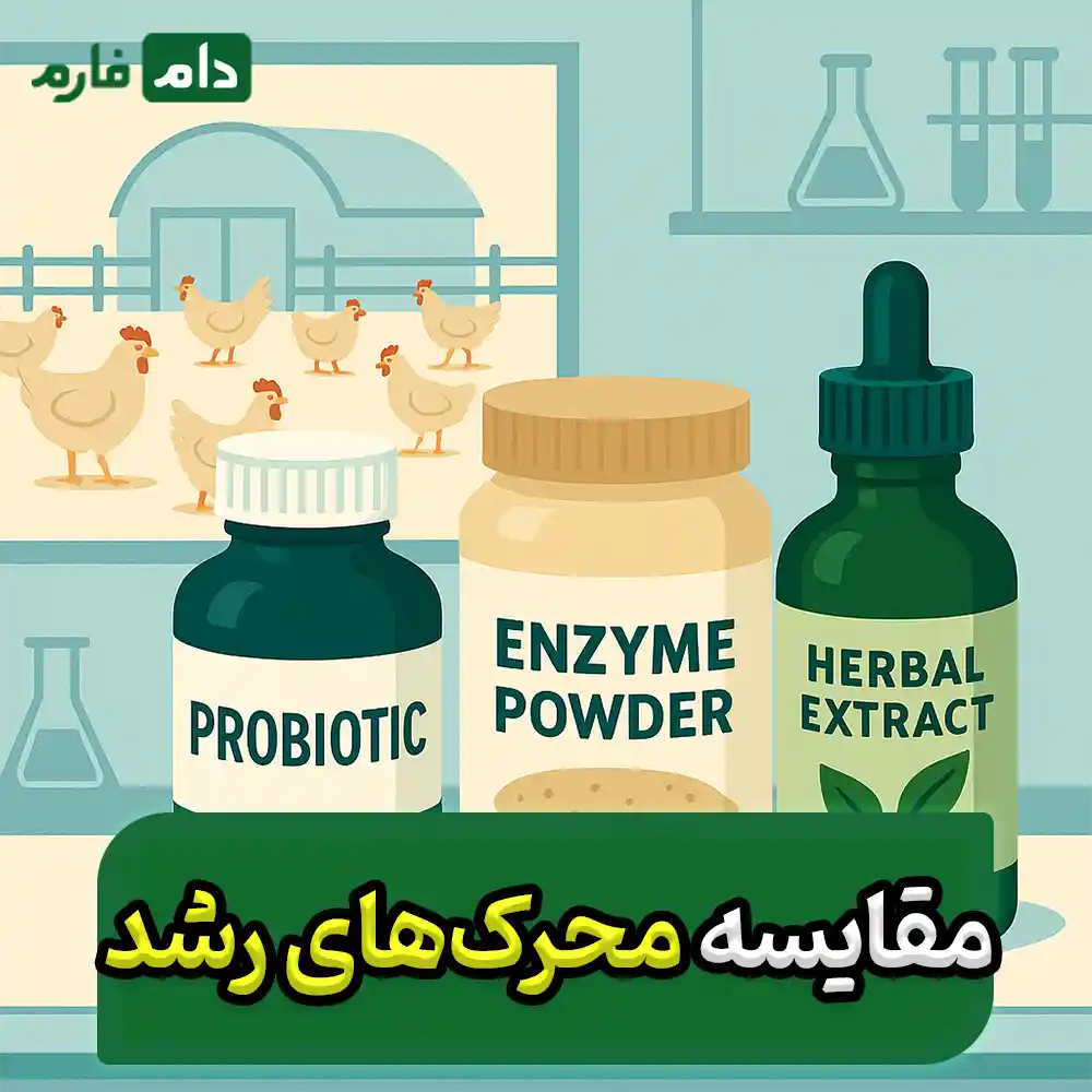 7-types-of-growth-stimulants-for-broilers