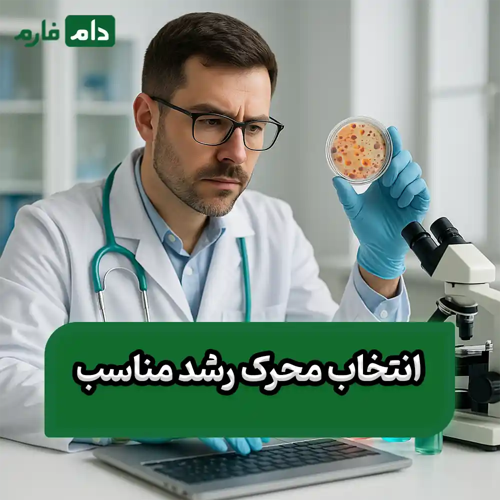 7-types-of-growth-stimulants-for-broilers