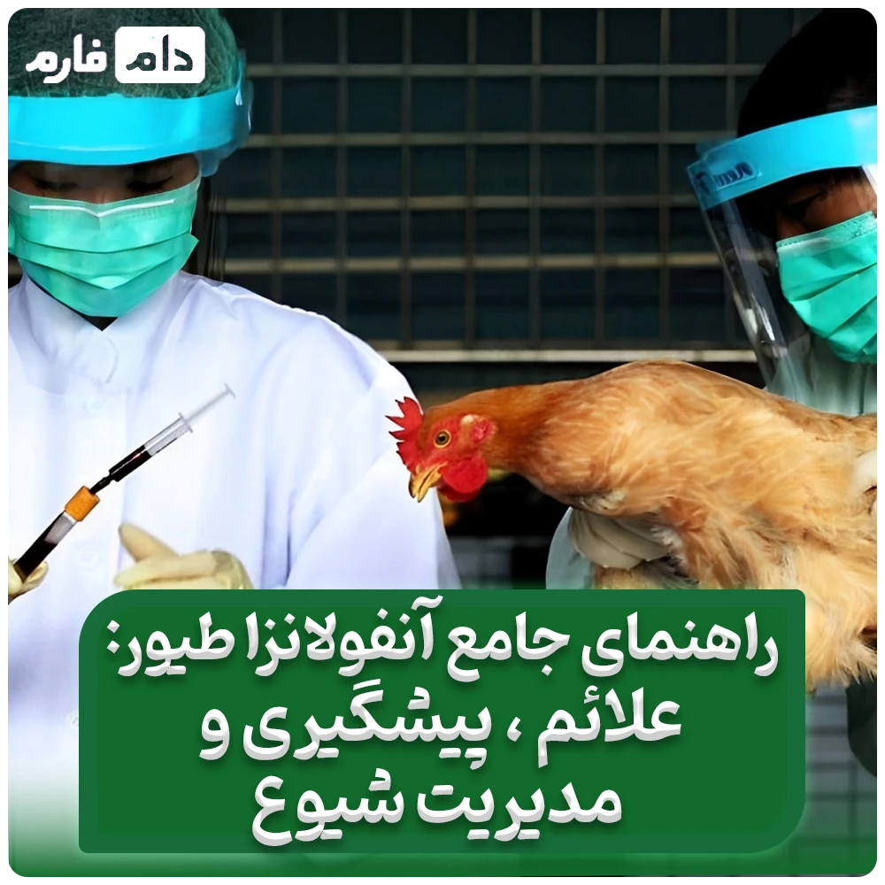 راهنمای_جامع_آنفولانزا_طیور:_علائم،_پیشگیری_و_مدیریت_شیوع