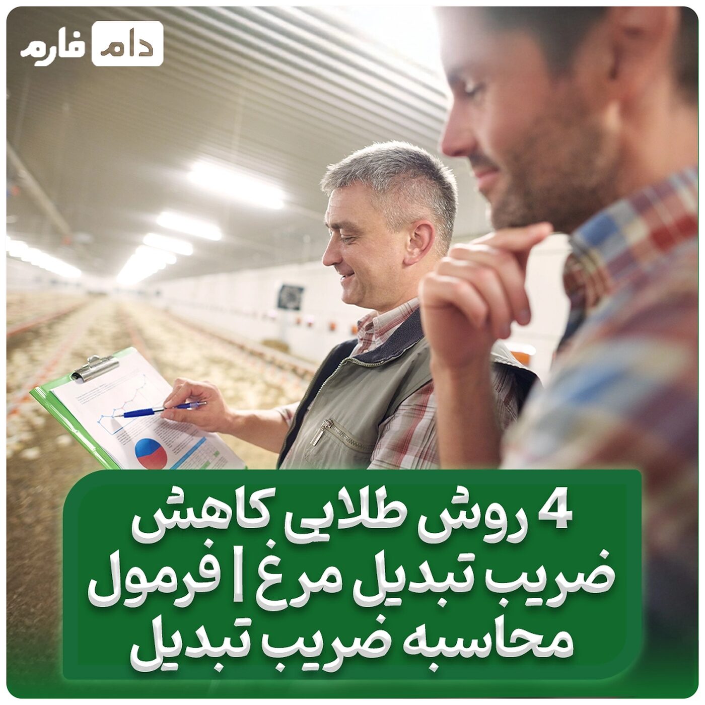 4_روش_طلایی_کاهش_ضریب_تبدیل_مرغ_|_فرمول_محاسبه_ضریب_تبدیل_جوجه