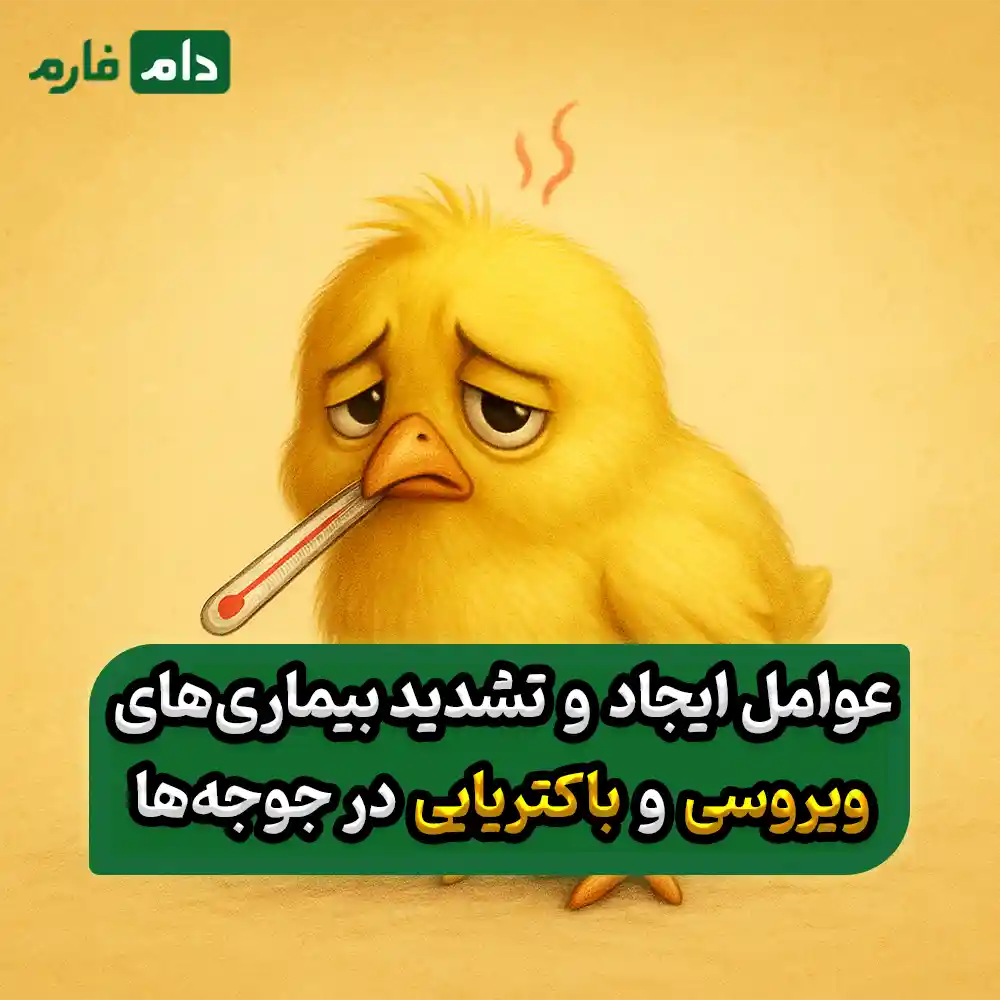 تفاوت_بیماری_ویروسی_و_باکتریایی_در_جوجه‌ها_:_راهنمای_کامل_تشخیص_و_پیشگیری