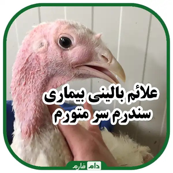 بیماری_سندرم_سر_متورم_