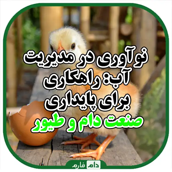 Management-of-water-resources-in-livestock-and-poultry-industry-using-new-technologies