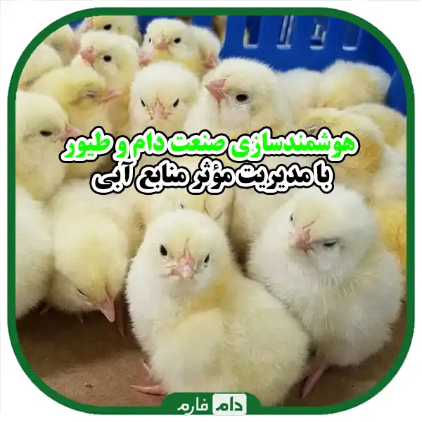 Management-of-water-resources-in-livestock-and-poultry-industry-using-new-technologies