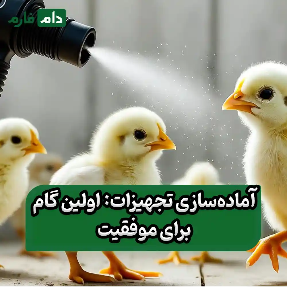 Important-points-about-chicken-vaccination-using-the-spray-method