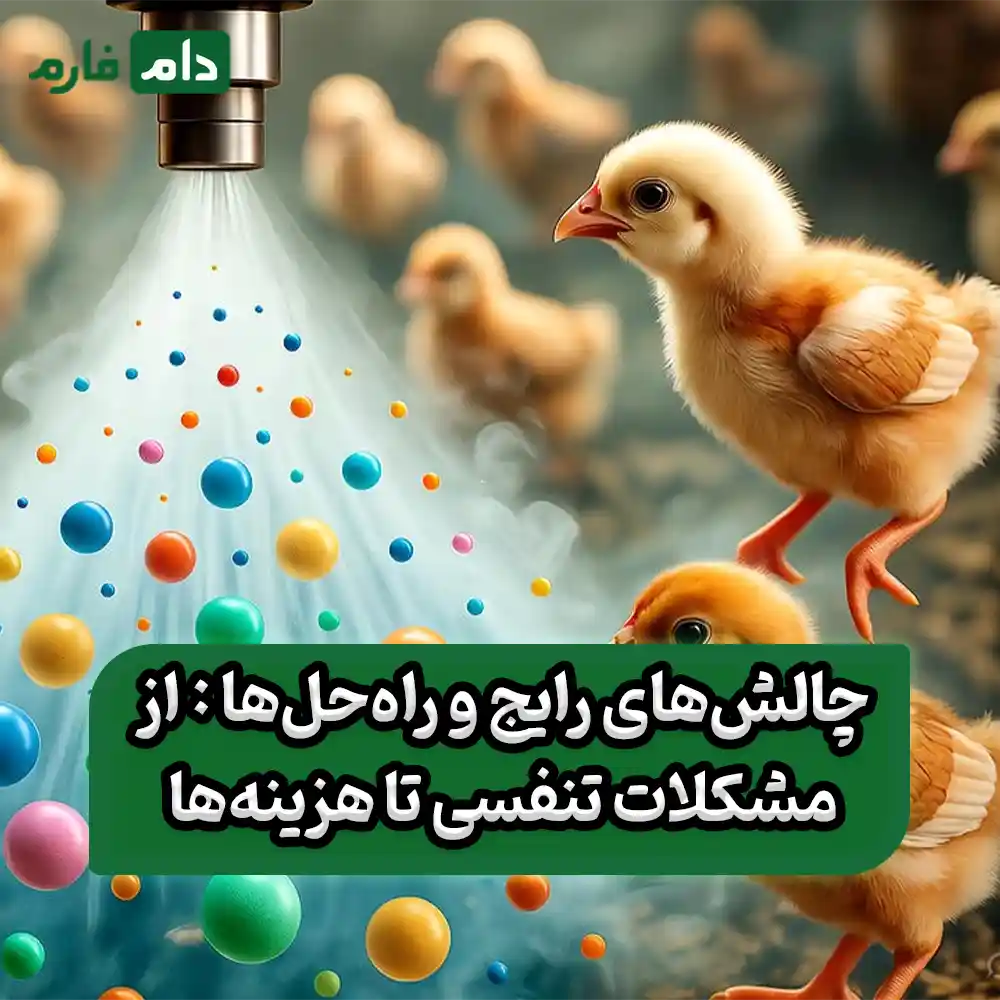 Important-points-about-chicken-vaccination-using-the-spray-method