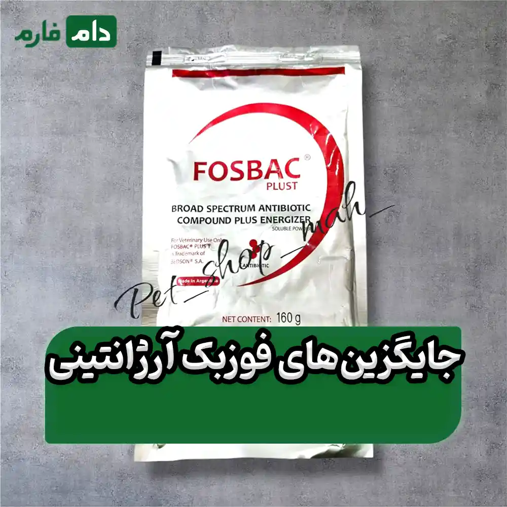 Argentine-Fosback-09198345962-09198345948-09117583323-