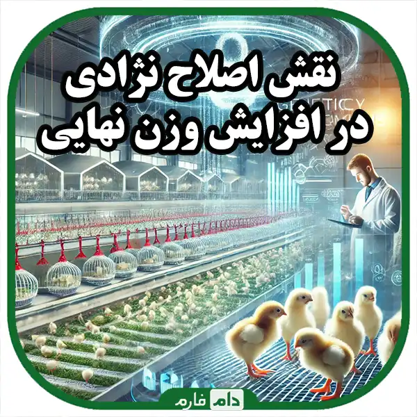 The-effect-of-genetics-on-the-final-weight-of-chickens