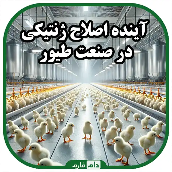 The-effect-of-genetics-on-the-final-weight-of-chickens