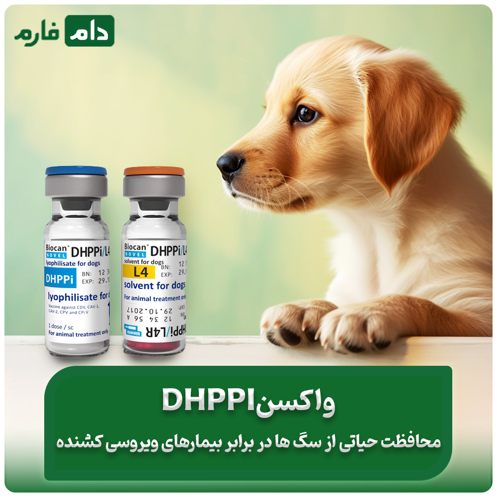 آشنایی_با_واکسن_DHPPi:_فواید،_ترکیب_و_زمان‌بندی_تجدید_واکسن_برای_سگ‌ها