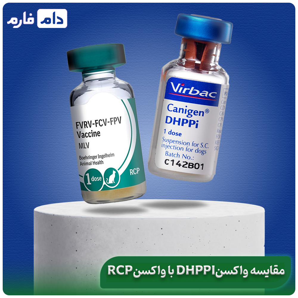 Getting-to-know-the-DHPPi-vaccine-benefits-composition-and-timing-of-the-number-of-vaccines-for-dogs