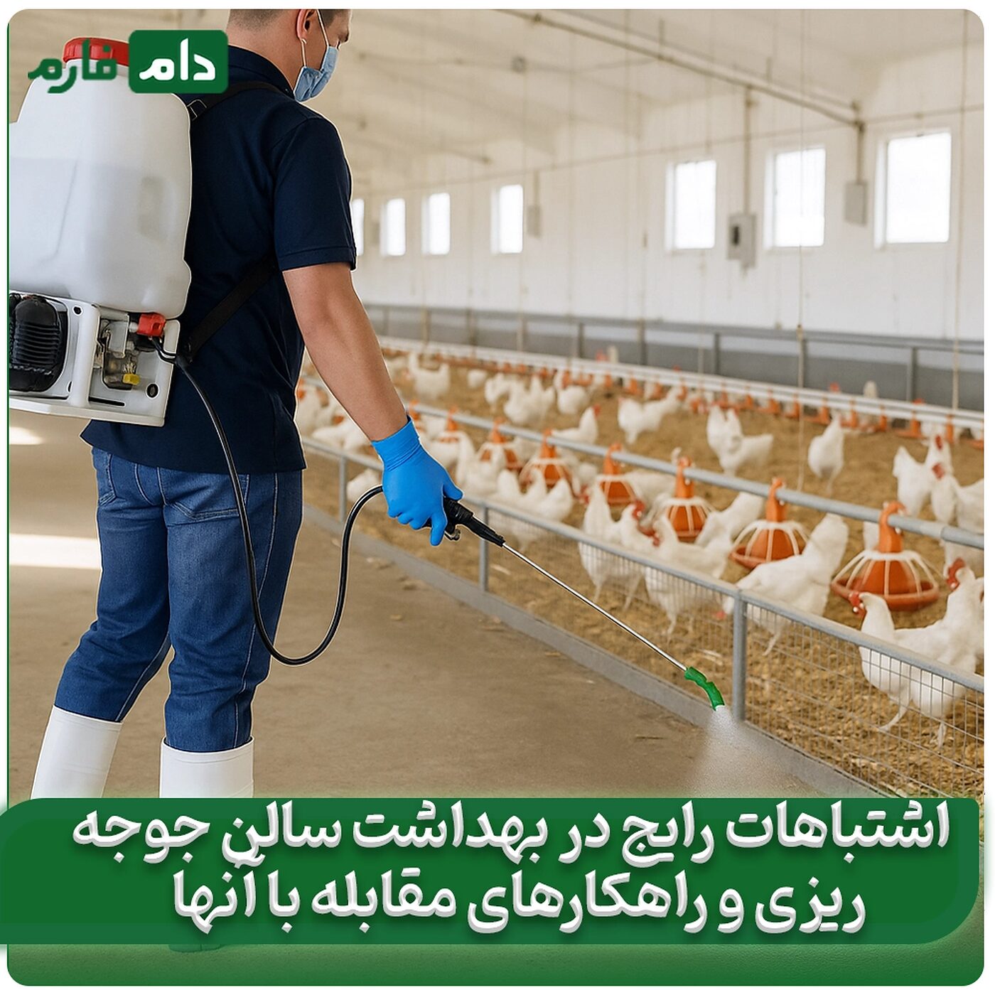 __اشتباهات_رایج_در_بهداشت_سالن_جوجه‌ریزی_و_راهکارهای_مقابله_با_آنها