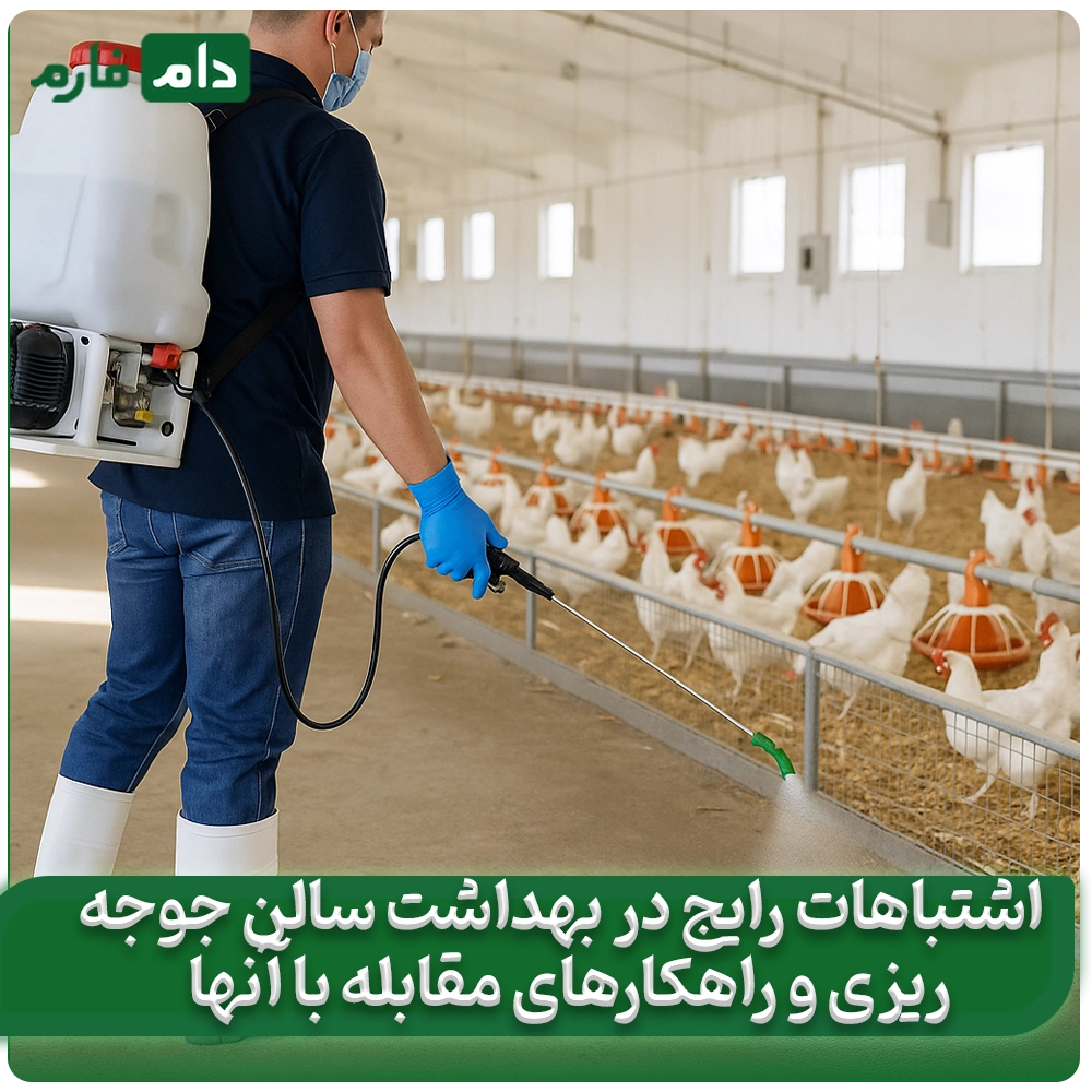 __اشتباهات_رایج_در_بهداشت_سالن_جوجه‌ریزی_و_راهکارهای_مقابله_با_آنها