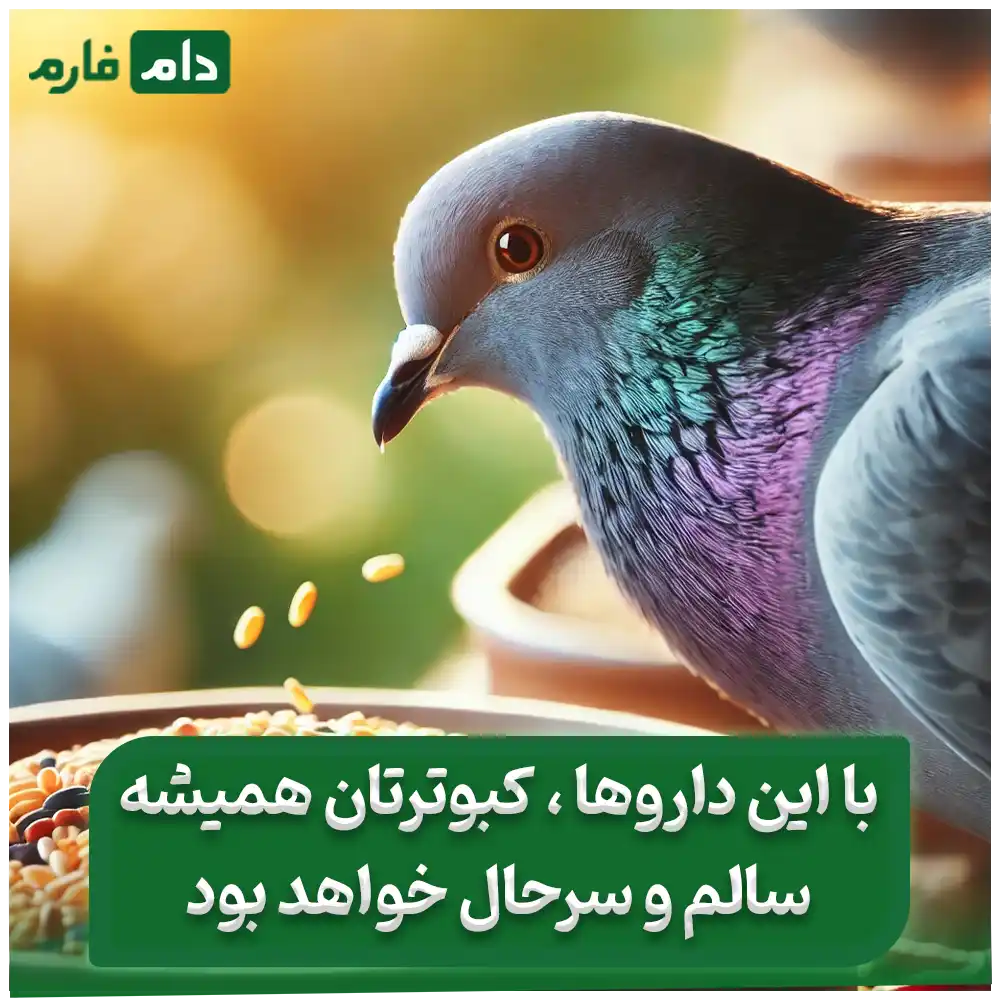 بررسی_داروهای_مؤثر_در_بهبود_هضم_غذا_در_کبوتران_:_راهکارهای_دارویی_و_تغذیه‌ای