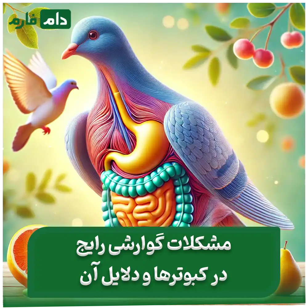Investigation-of-effective-drugs-in-improving-digestion-in-pigeons-Pharmaceutical-and-nutritional-strategies