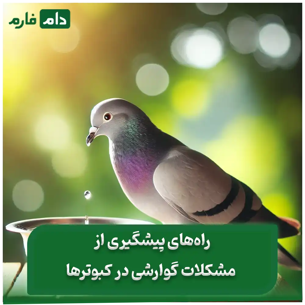 Investigation-of-effective-drugs-in-improving-digestion-in-pigeons-Pharmaceutical-and-nutritional-strategies