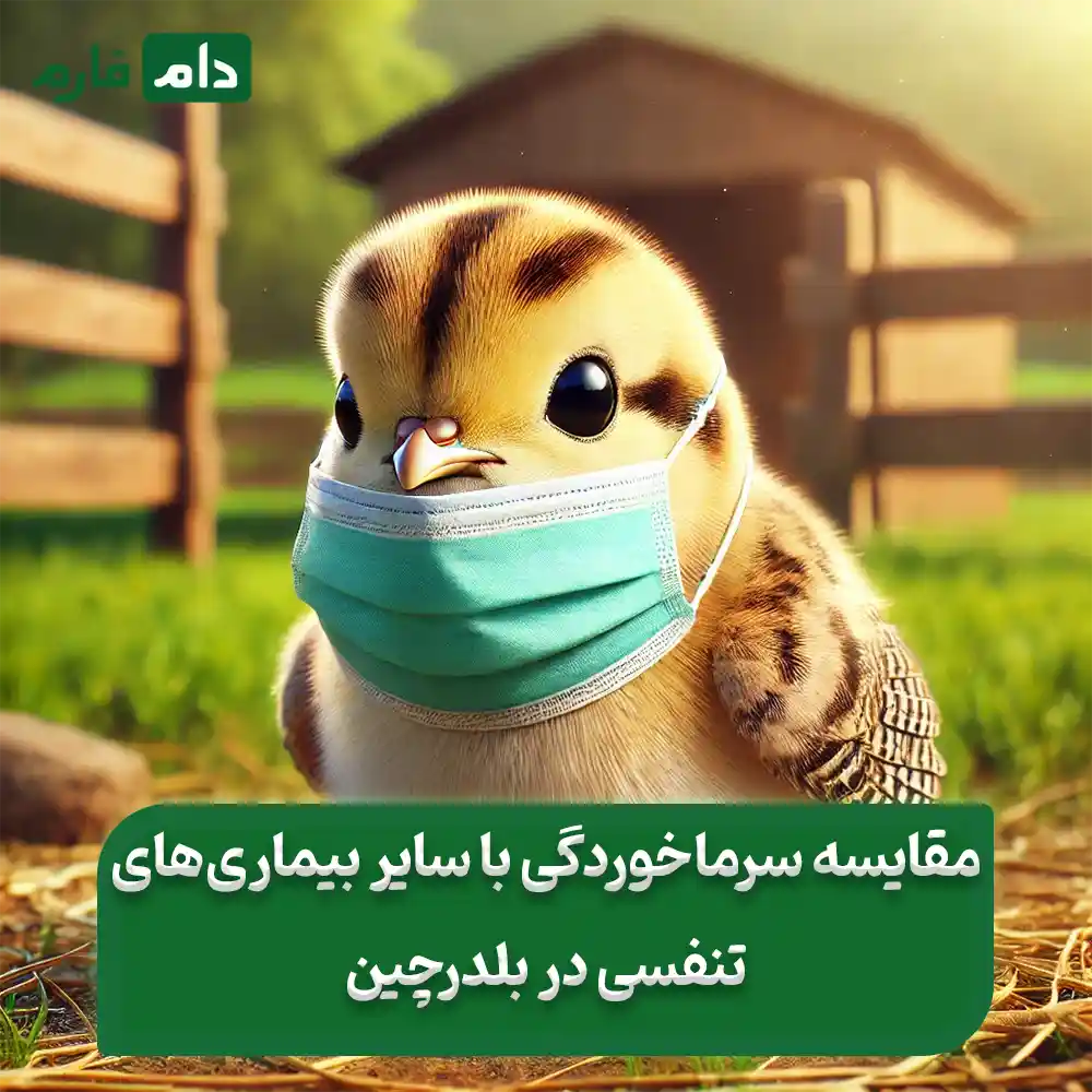 Quail-cold-symptoms-immediate-treatment-and-prevention-methods