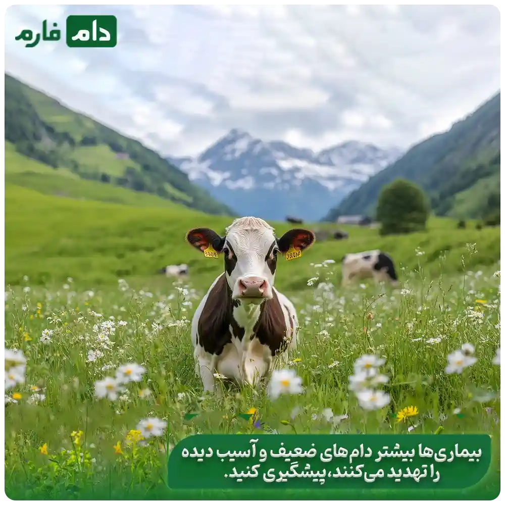 Types-of-animal-and-respiratory-diseases-and-their