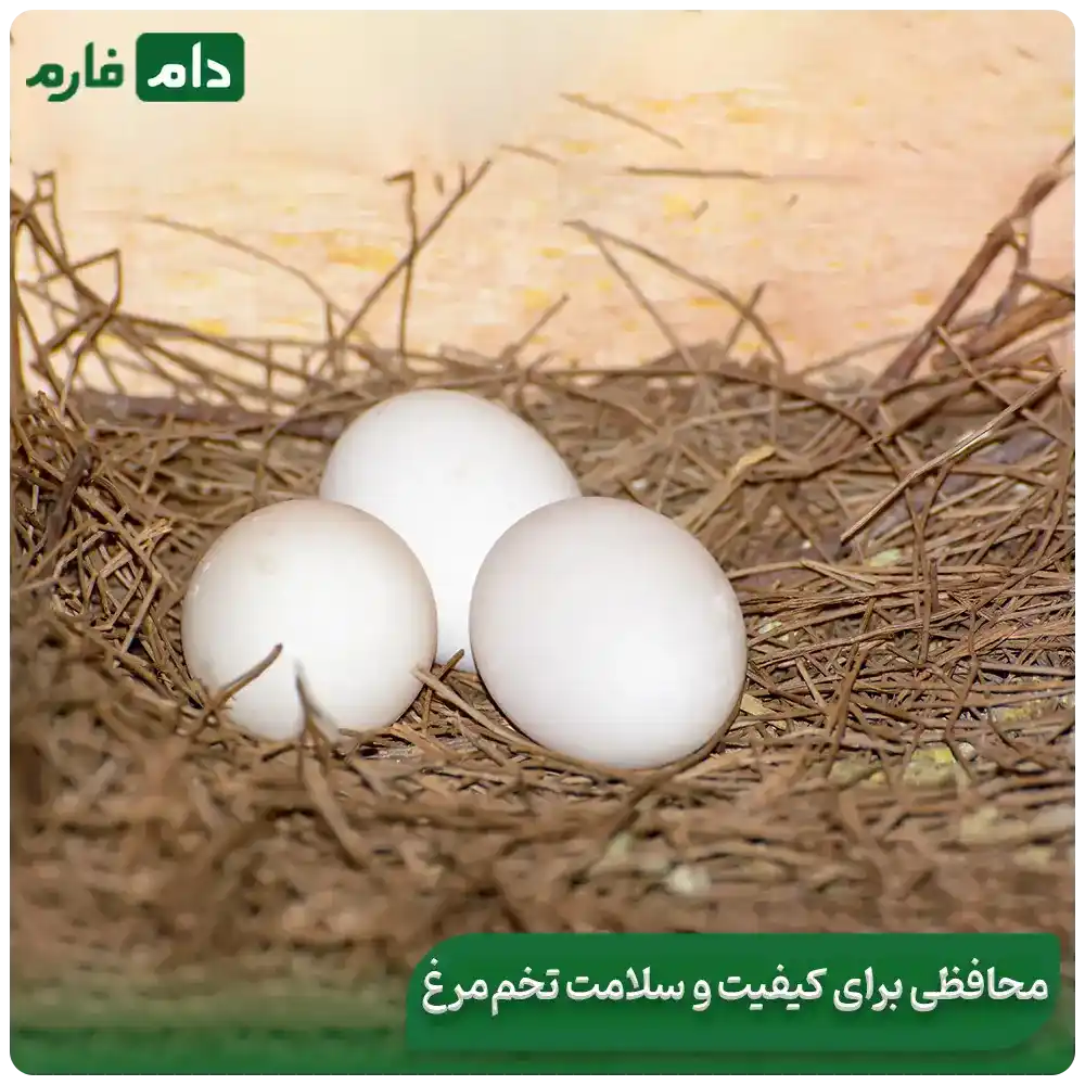 The-influence-of-genetics-on-egg-shell-thickness-and-thinness