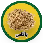 bagasse