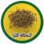 rapeseed_meal
