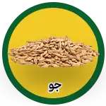 barley