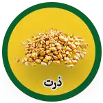 corn
