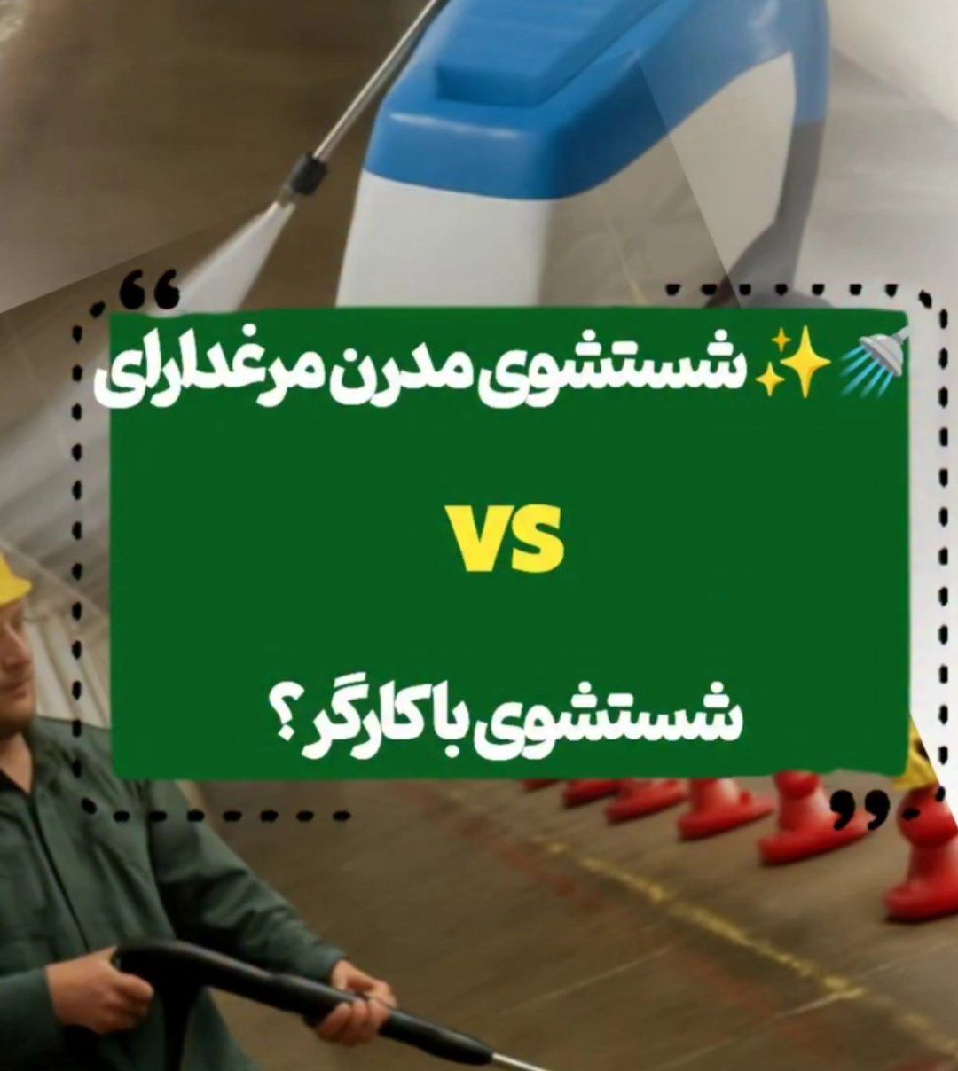 شستشوی مرغداری